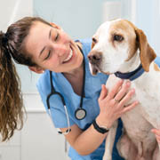 Online Veterinary Technician Photo