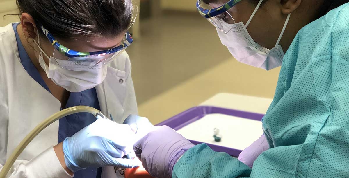 Dental Assisting diploma in as few as 10 months